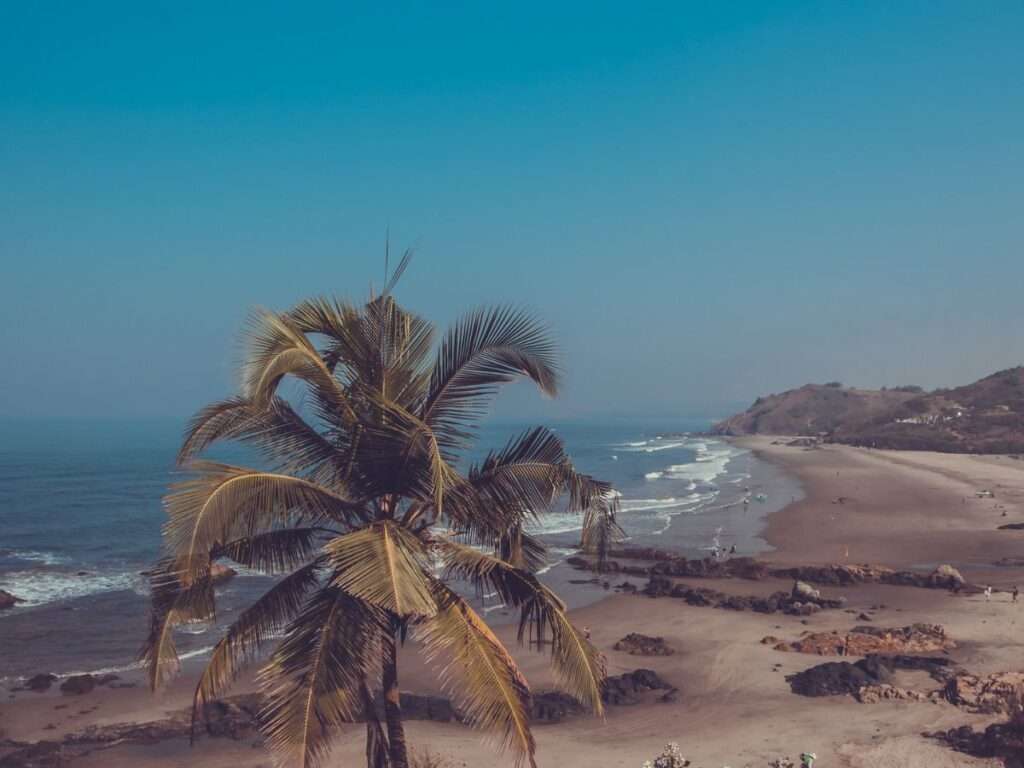 roam around the beach feel the breeze - Try our 7 days goa itinerary