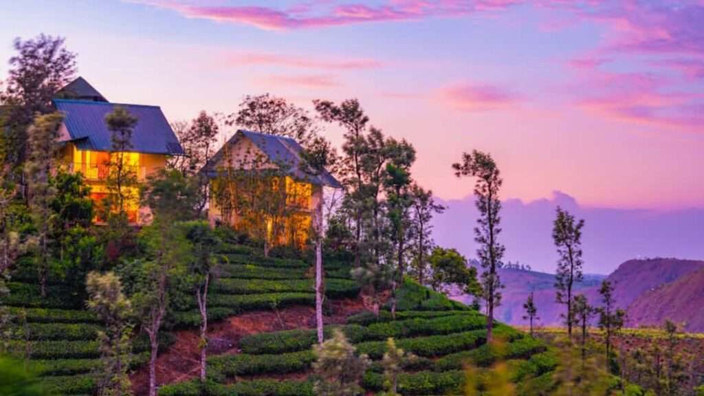 beautiful Winter Vale Green Stay , Vagamon