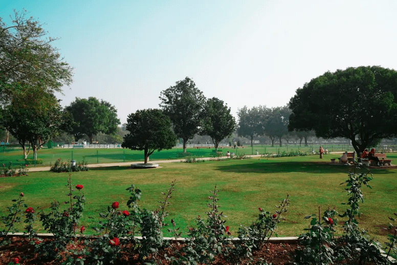 Rose Garden Chandigarh