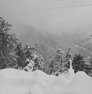 Snowfall at Mashobra in Shimla
