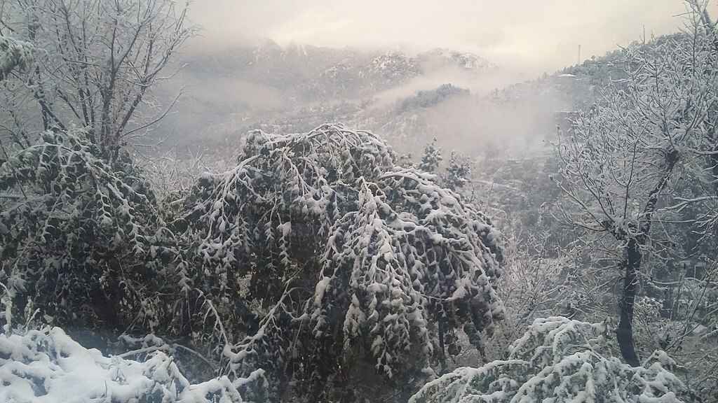 Snowfall in Shimla- Best time to Visit