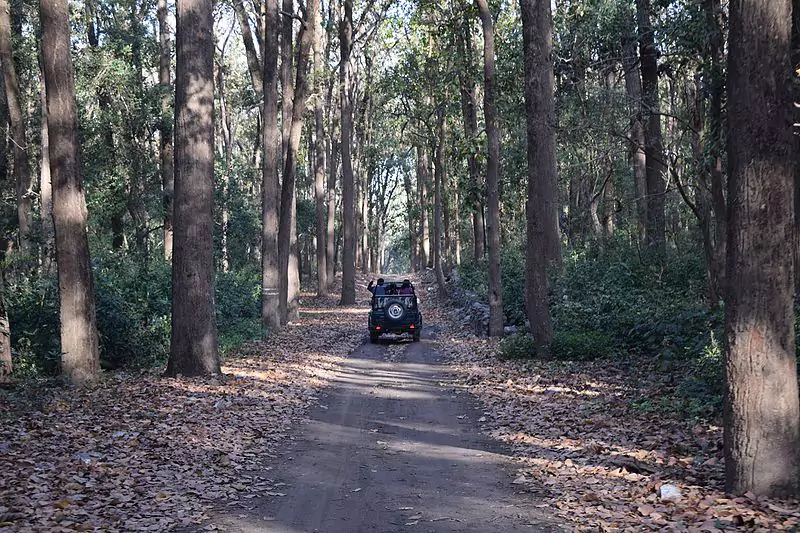 Jeep Safari in the Jim Corbett National Park